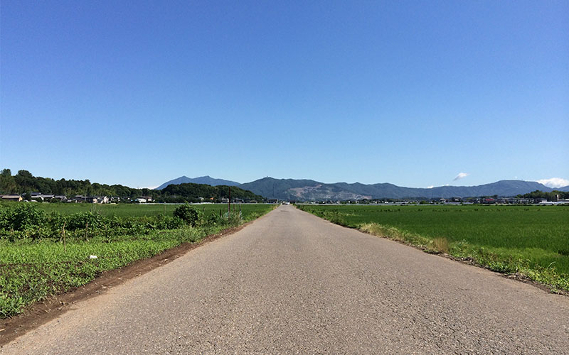 久松農園に向かう道の奥にそびえる筑波山