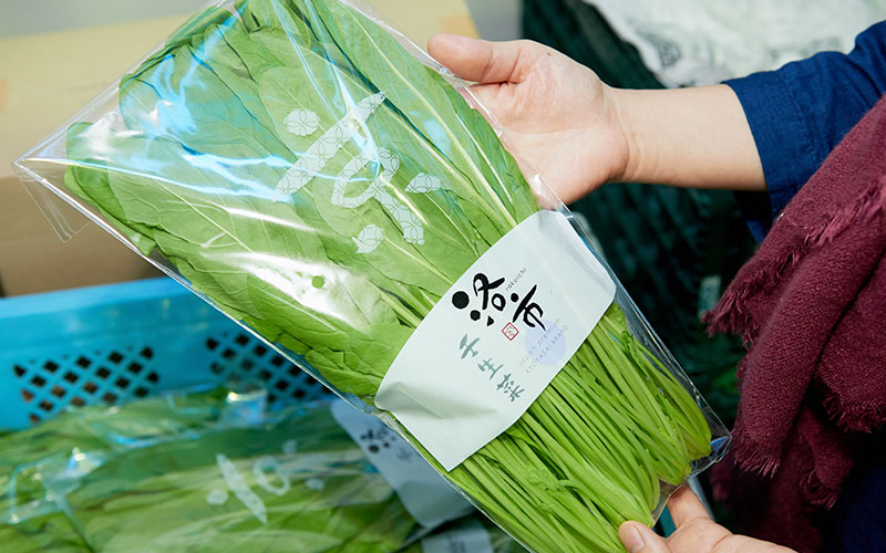 「洛市」の袋に入った新鮮な壬生菜
