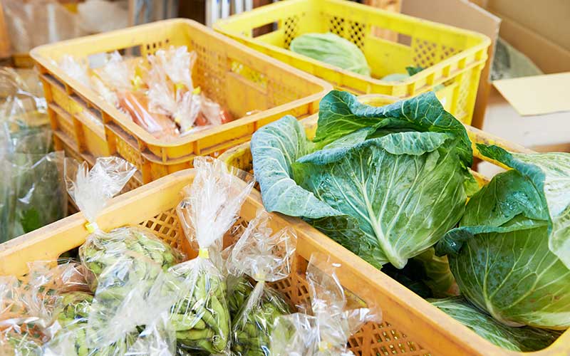 収穫され、梱包を待つ新鮮な野菜たち