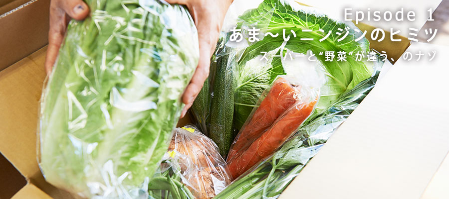 発送する野菜の梱包作業