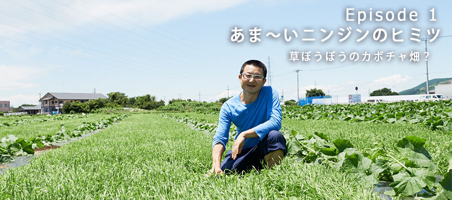 カボチャ畑の久松さん