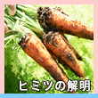 エピソード1-2へのリンク
