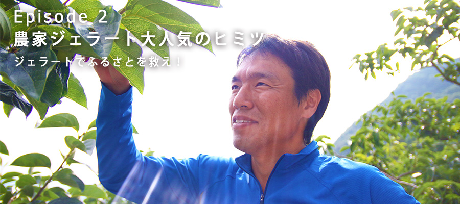 宇城農園で育てている柿の木に触れる宇城さん