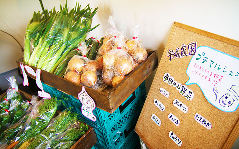 キミノーカ店内のプチマルシェには新鮮な旬の野菜が並ぶ