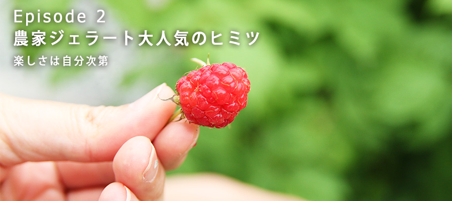 キミノーカのテラス前にたくさん実っていた甘〜いキイチゴ