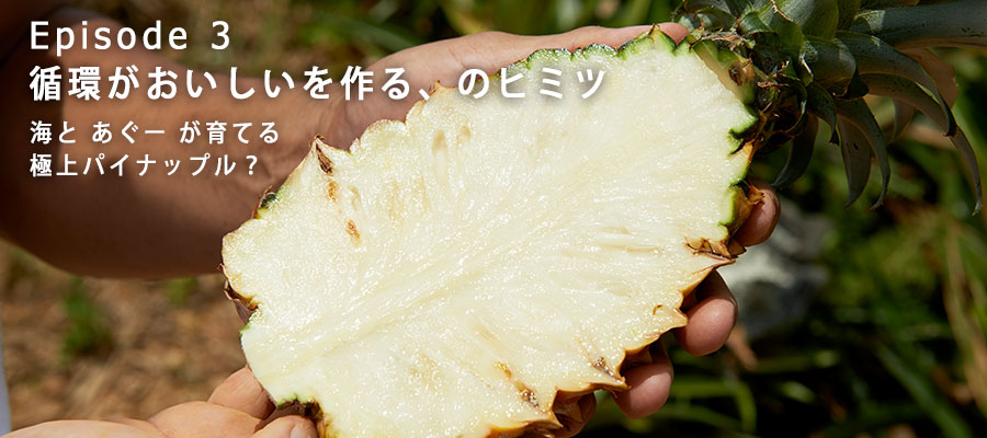 みずみずしいパイナップルの断面