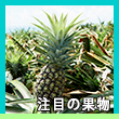 エピソード3-1へのリンク