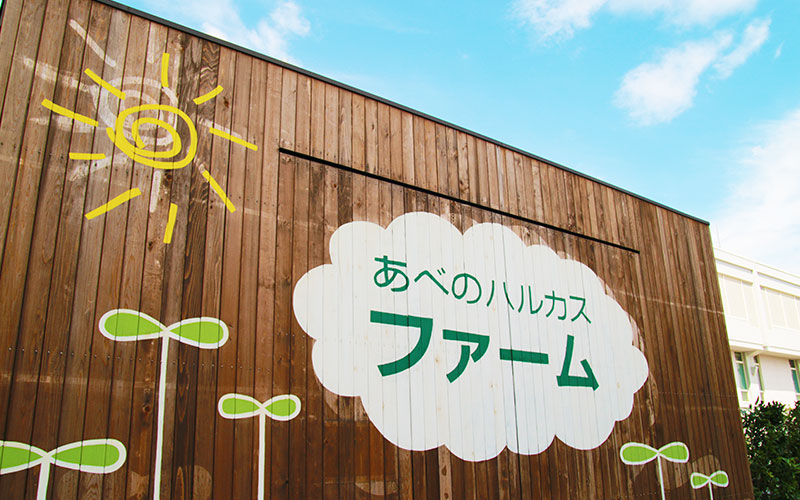 ファーム入り口に描かれたファーム名のペイント