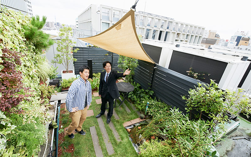 見事に緑化されている屋上。ステキです。