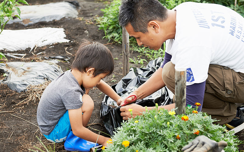若いパパと小さいお子さん、親子で協力して作業中!