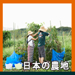 エピソード4-4へのリンク