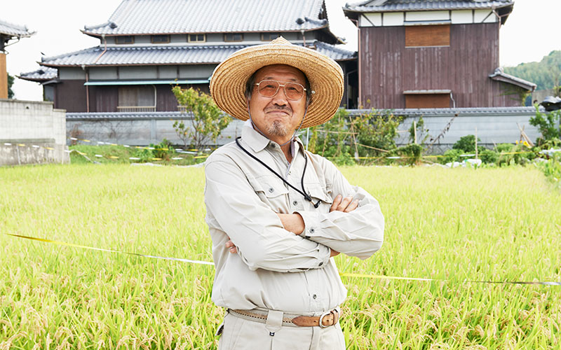黄金色に実った稲穂の前で腕組みポーズのおじさま