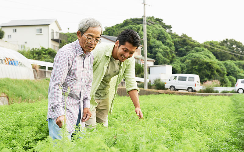 変わって、フレッシュグループの仲間のニンジン畑で協力者でもある地元の農家さんと話す森さん