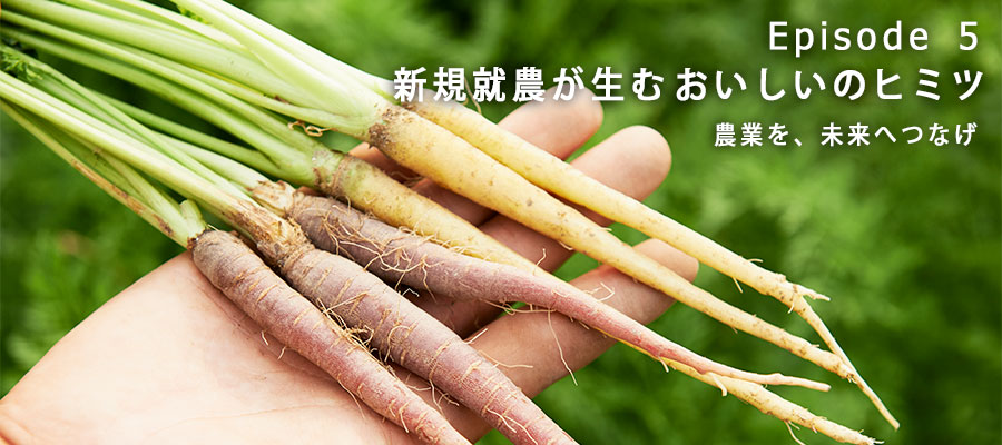フレッシュグループ水野さんが作る、葉っぱ付きのカラーニンジンこちらも人気の野菜です