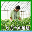 エピソード5-2へのリンク