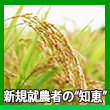 エピソード5-3へのリンク