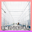 エピソード6-1へのリンクク