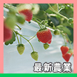 エピソード6-2へのリンク