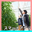 エピソード6-4へのリンク