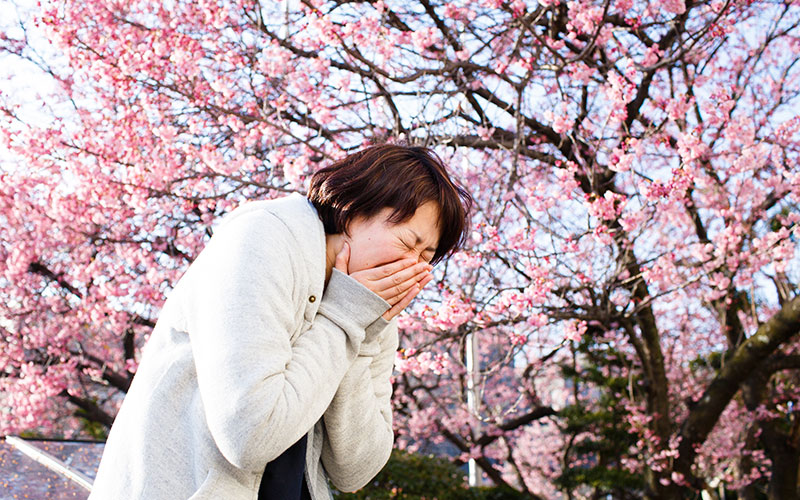 満開のお花の前で大きなクシャミをするT記者