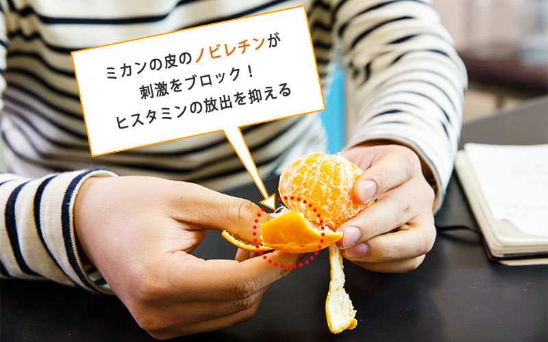 ミカンをむく様子。この皮のノビレチンが刺激をブロックするのです