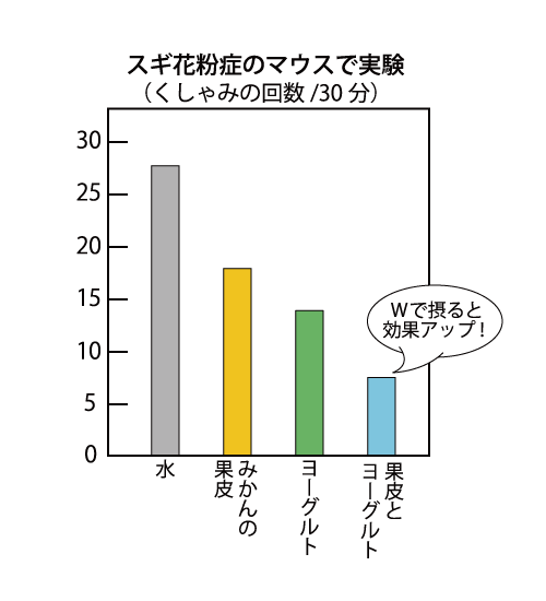 スギ花粉症のマウスで実験した30分のくしゃみの回数グラフ。水だと25回を超えているが、果皮とヨーグルトをっ摂取すると10回以下に減っている