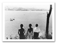 無茶々園の歴史写真1