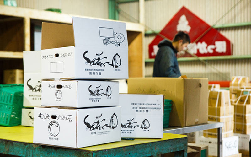 これから出荷される無茶々園の箱たち