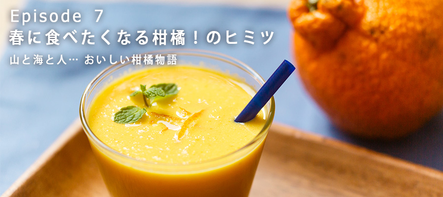 ミカンまるごと+ヨーグルトのスムージー