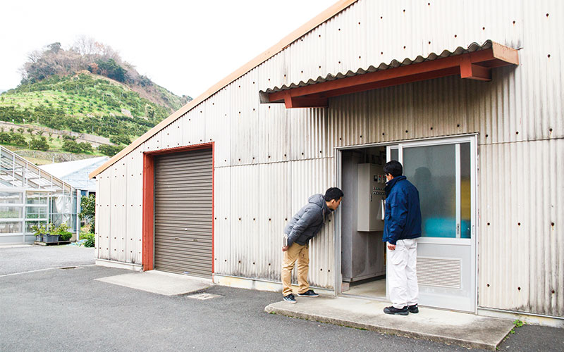 倉庫のような場所の入り口から中をのぞくM記者。建物の背景には段々畑が広がります