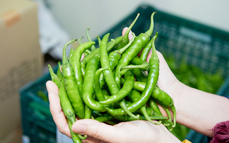 てのひらいっぱいの野菜。これは…？