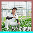 エピソード8-3へのリンク