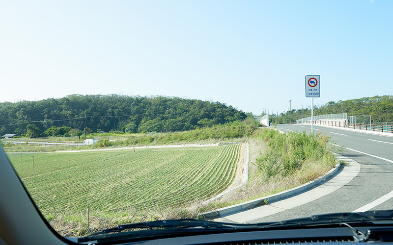車中から見えた畑のような風景