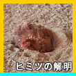 エピソード9-2へのリンク