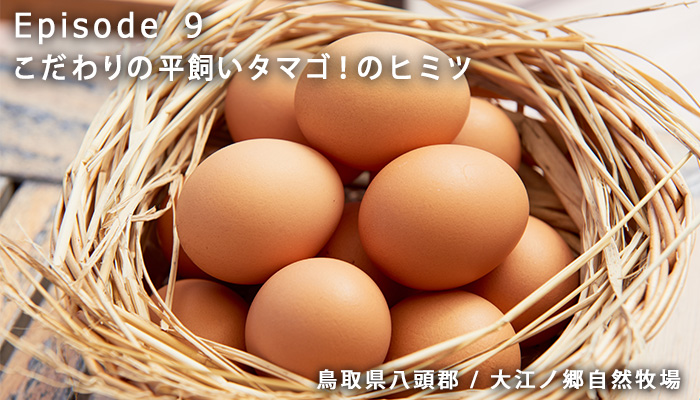 サイトイメージ画像