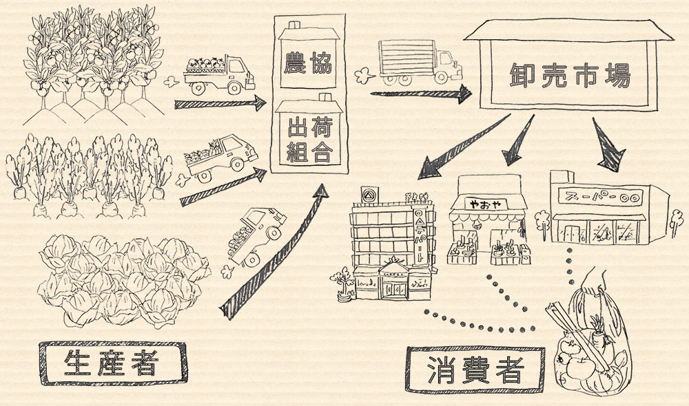 青果物の一般流通図
